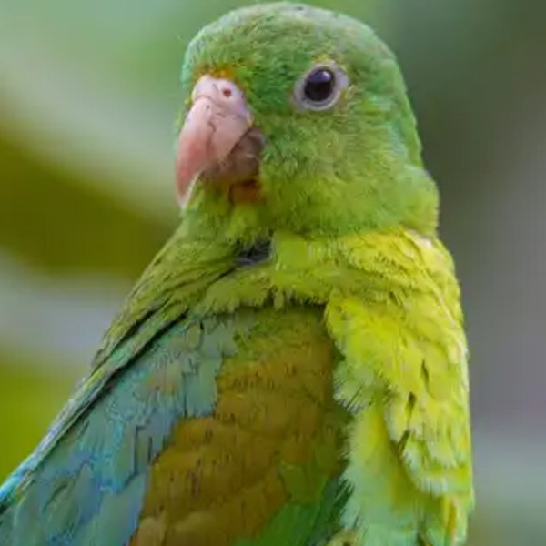 Foto de Matías 
