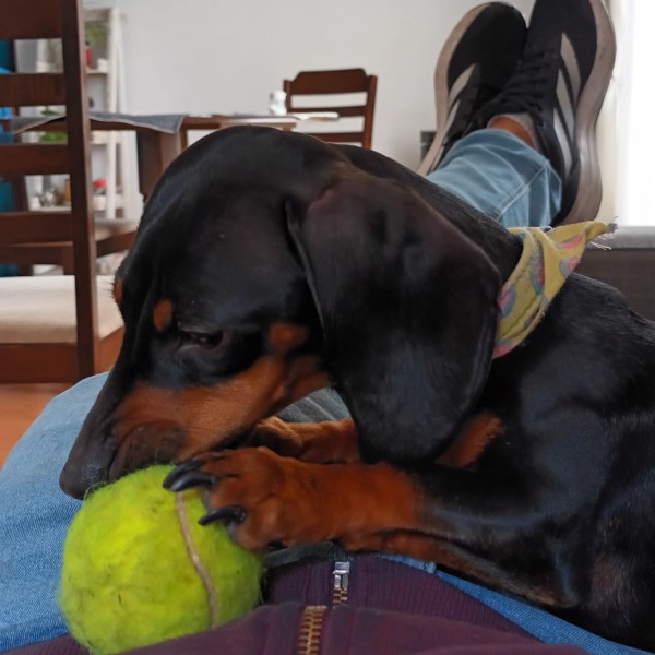 Foto de Manchita 